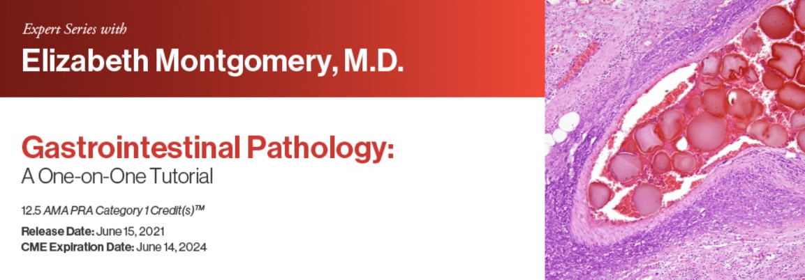 Download 2021 Expert Series with Elizabeth Montgomery, M.D. Gastrointestinal Pathology: A One-On-One Tutorial Free