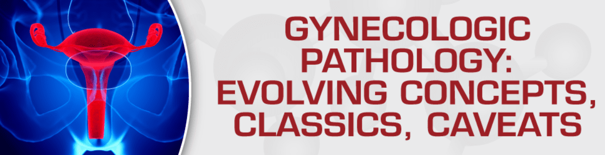 Download Gynecologic Pathology: Evolving Concepts, Classics, Caveats 2020 Videos and PDF Free