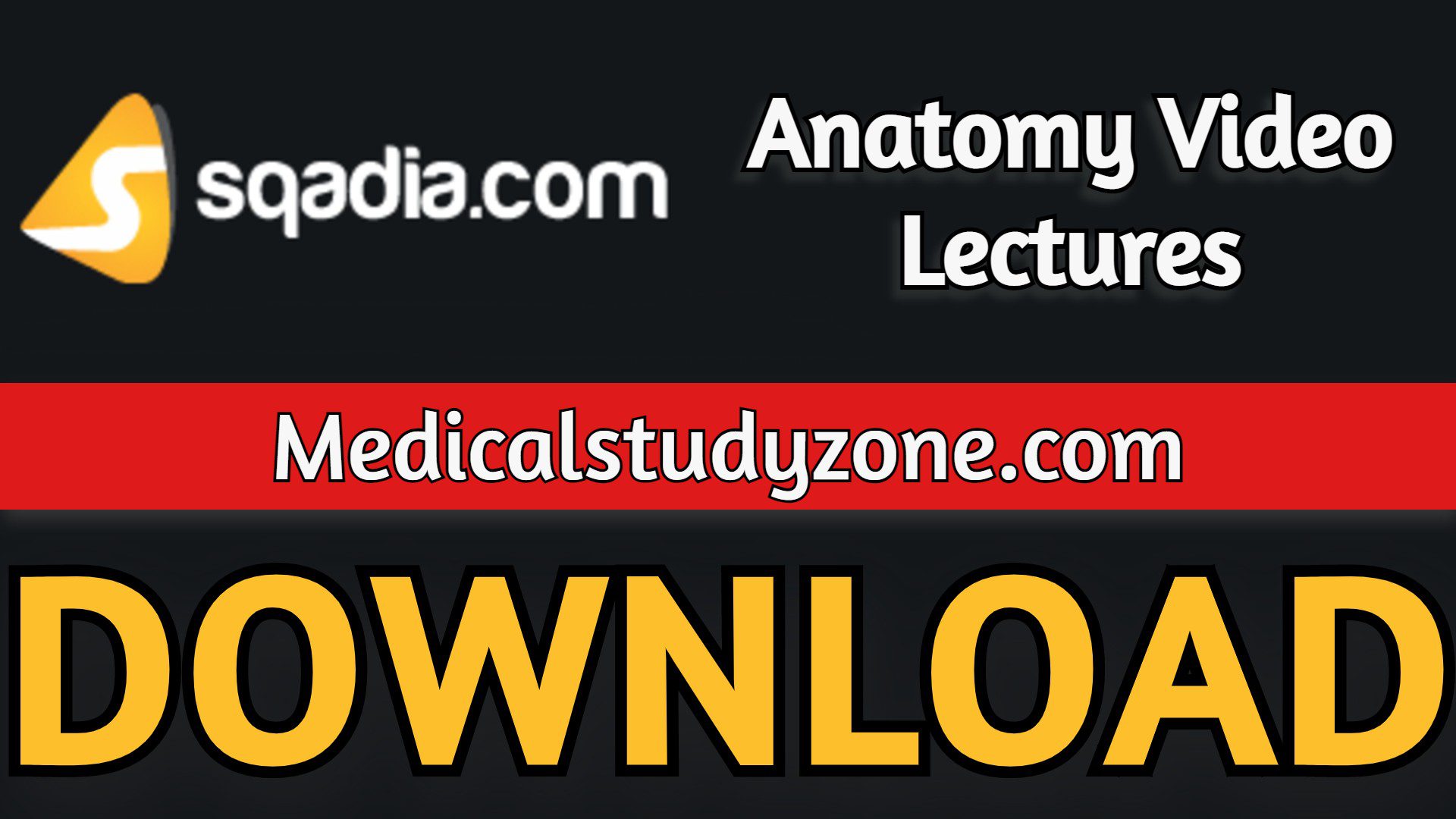 Sqadia Anatomy Video Lectures 2023 Free Download