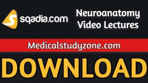 Sqadia Neuroanatomy Video Lectures 2021 Free Download
