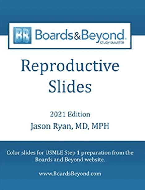 Boards and Beyond Reproductive Slides 2021 PDF Free Download