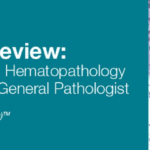 Download 2019 Pathology Review: Dermatopathology, Hematopathology, and Breast for the General Pathologist Videos Free