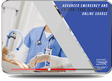 Download Gulfcoast : Advanced Emergency Medicine and Critical Care Ultrasound 2019 Videos Free