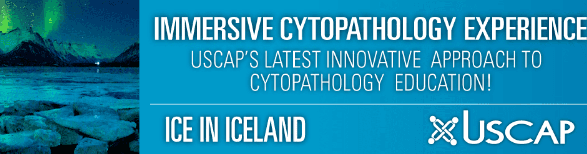 Immersive Cytopathology Experience: ICE in Iceland 2019 Videos Free Download