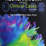 Neuroanatomy through Clinical Cases 3rd Edition PDF Free Download