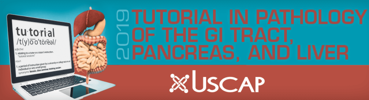 Tutorial in Pathology of the GI Tract, Pancreas and Liver 2019 Videos and PDF Free Download