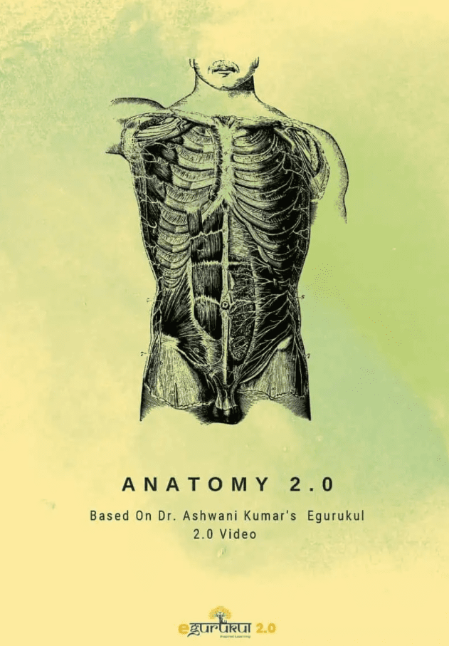 Anatomy Egurukul 2 0 Dr Ashwani Kumar Pdf Free Download Medical Study Zone