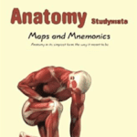 Anatomy Studymate: maps & mnemonics 1st Edition PDF Free Download