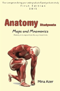 Anatomy Studymate: maps & mnemonics 1st Edition PDF Free Download
