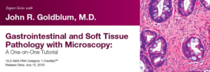 Download 2019 Expert Series with John R. Goldblum, M.D. Gastrointestinal and Soft Tissue Pathology with Microscopy: A One-on-One Tutorial Free