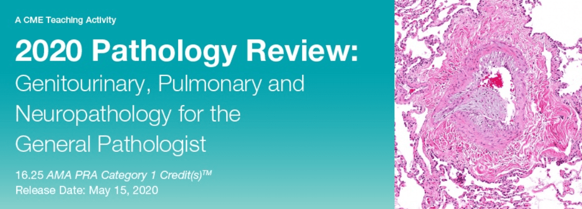 Download 2020 Pathology Review: Genitourinary, Pulmonary and Neuropathology for the General Pathologist Videos and PDF Free