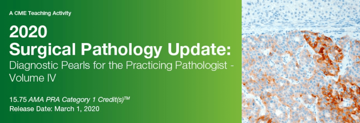 Download 2020 Surgical Pathology Update: Diagnostic Pearls for the Practicing Pathologist, Vol. IV Free