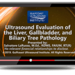 Download Gulfcoast: Ultrasound Evaluation of the Liver, Gallbladder, and Biliary Tree Pathology Videos Free