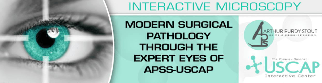 Download Modern Surgical Pathology Through the Expert Eyes of APSS-USCAP Videos and PDF Free