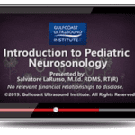 Gulfcoast: Introduction to Pediatric Neurosonology Videos Free Download