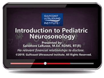 Gulfcoast: Introduction to Pediatric Neurosonology Videos Free Download