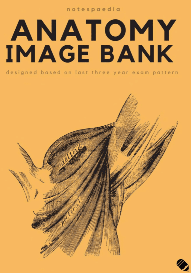 Notespaedia Anatomy Image Bank PDF Free Download
