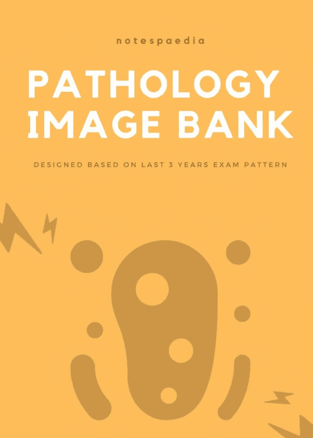 Notespaedia Pathology Image Bank PDF Free Download