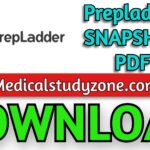 Prepladder SNAPSHOT 2021 PDF Free Download