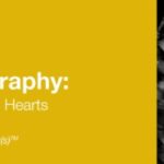 2019 Fetal Echocardiography: Normal and Abnormal Hearts Videos Free Download