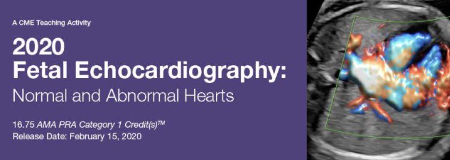 2020 Fetal Echocardiography: Normal and Abnormal Hearts Videos Free Download