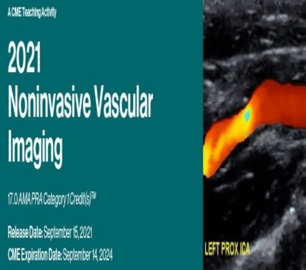 2021 Noninvasive Vascular Imaging Videos and PDF Free Download