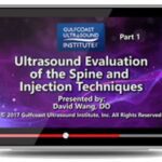 Gulfcoast: Ultrasound Evaluation of the Spine & Injection Techniques Videos Free Download