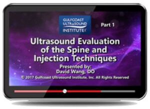 Gulfcoast: Ultrasound Evaluation of the Spine & Injection Techniques Videos Free Download