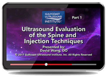 Gulfcoast: Ultrasound Evaluation of the Spine & Injection Techniques Videos Free Download