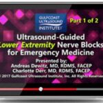 Gulfcoast: Ultrasound-Guided Lower Extremity Nerve Blocks for Emergency Medicine Videos Free Download