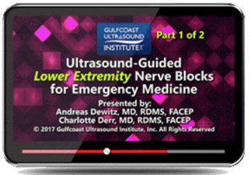 Gulfcoast: Ultrasound-Guided Lower Extremity Nerve Blocks for Emergency Medicine Videos Free Download