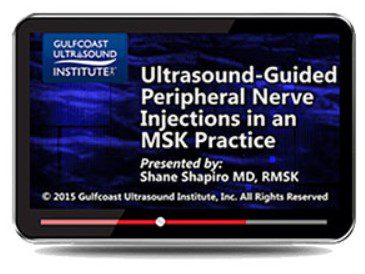 Gulfcoast: Ultrasound-Guided Peripheral Nerve Injections in an MSK Practice Videos Free Download