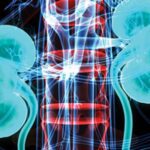 Intensive Review of Nephrology 2021 Videos Free Download