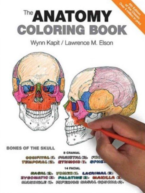 The Anatomy Coloring Book 4th Edition PDF Free Download