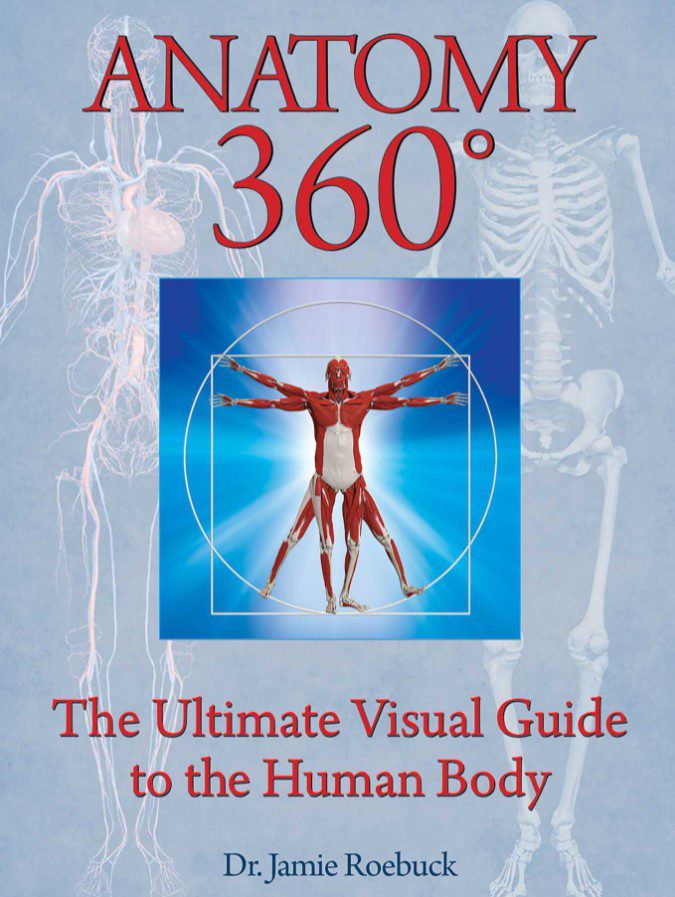 Anatomy 360: The Ultimate Visual Guide to the Human Body PDF Free Download