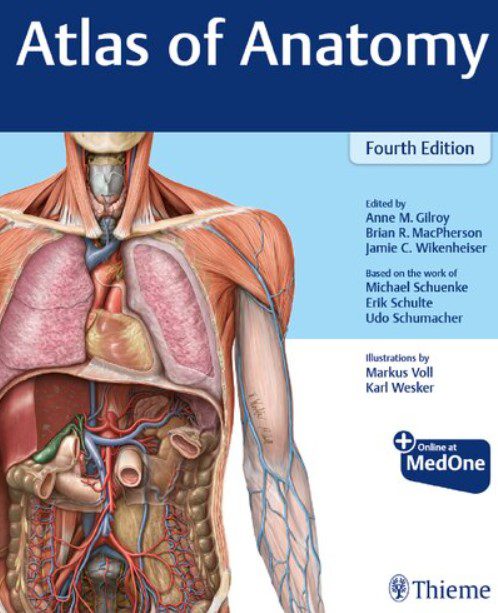 Thieme Atlas of Anatomy 4th Edition PDF Free Download
