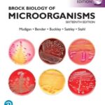 Brock Biology of Microorganisms 16th Edition PDF Free Download