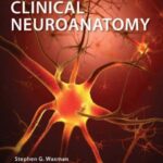 Clinical Neuroanatomy 29th Edition PDF Free Download