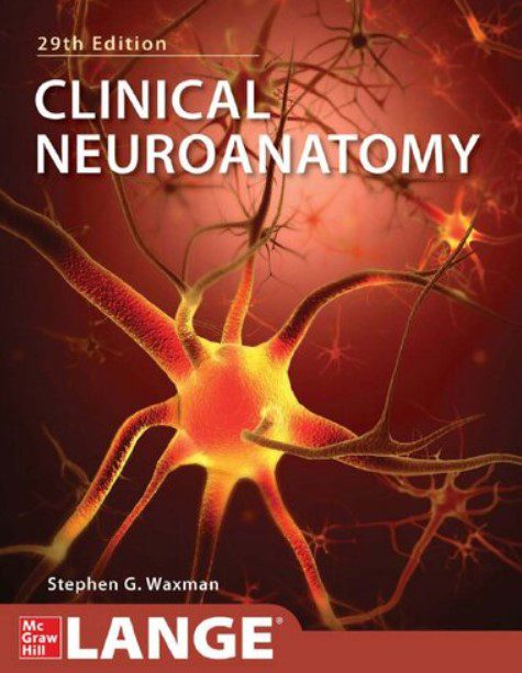 Clinical Neuroanatomy 29th Edition PDF Free Download