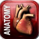 Doctors in Training : Solid Anatomy Videos Free Download