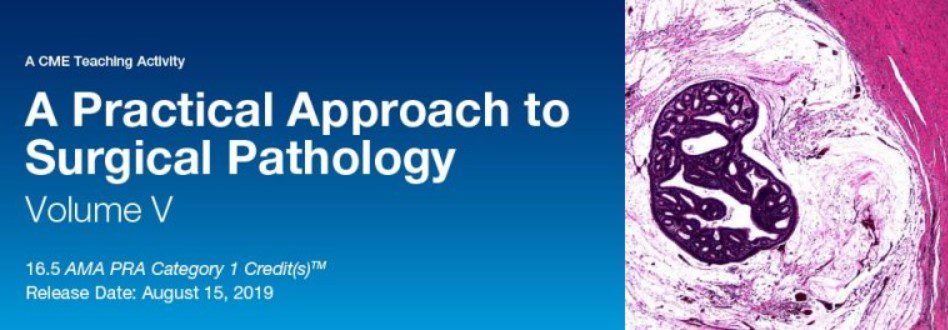 Download A Practical Approach to Surgical Pathology, Vol. V 2019 Videos Free