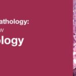 Download Classic Lectures in Pathology What You Need to Know Breast Pathology 2019 Videos Free