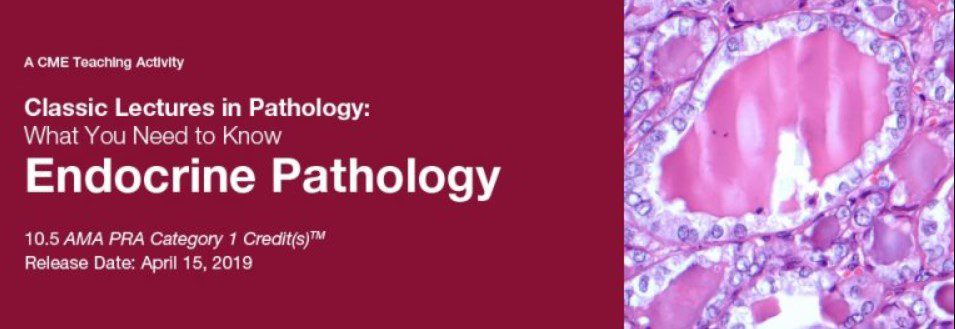 Download Classic Lectures in Pathology: What You Need to Know: Endocrine Pathology 2019 Videos Free