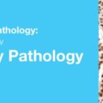Download Classic Lectures in Pathology What You Need to Know Genitourinary Pathology 2019 Videos Free