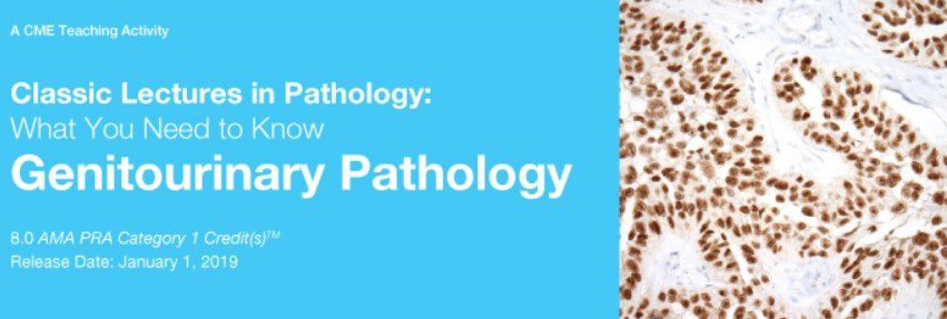 Download Classic Lectures in Pathology What You Need to Know Genitourinary Pathology 2019 Videos Free