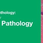 Download Classic Lectures in Pathology: What You Need to Know: Head & Neck Pathology 2019 Videos Free