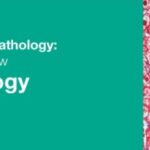 Download Classic Lectures in Pathology: What You Need to Know: Liver Pathology 2018 Videos Free