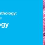 Download Classic Lectures in Pathology: What You Need to Know: Lung Pathology 2018 Videos Free