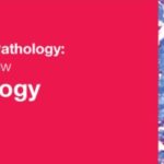 Download Classic Lectures in Pathology: What You Need to Know: Neuropathology 2018 Videos Free