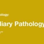 Download Classic Lectures in Pathology What You Need to Know Pancreatobiliary Pathology 2019 Videos Free